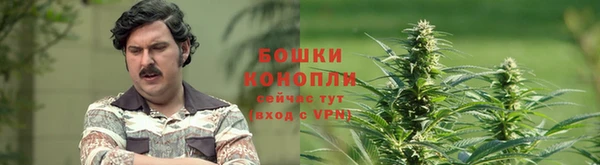 гашиш Магас