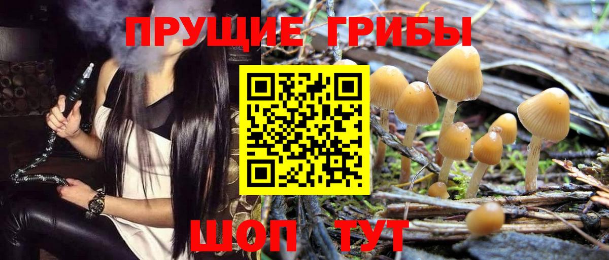 хочу   Вход с VPN  Туапсе  Псилоцибиновые грибы ЛСД 